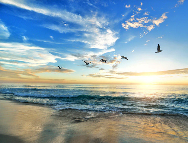 ����ʹ-fun88����ʹ-�ٷ���վ